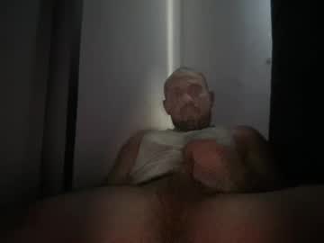 bino_beee7