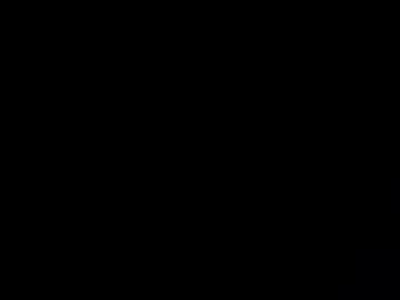 dt8383