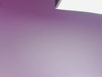irisbeel_