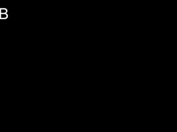 kirarustle
