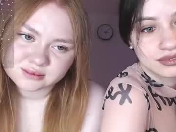 koshechka_sobachka