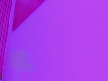 lulu_exotic