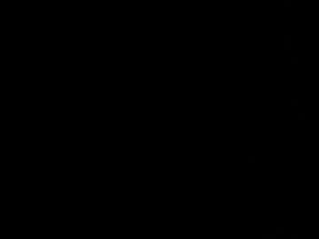 moreletii