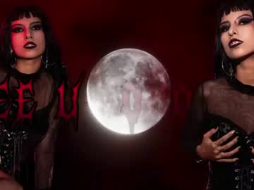 rose_72