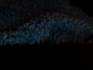 sexyfrancesxobabe