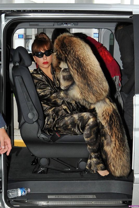 Fur Fetish — 10
