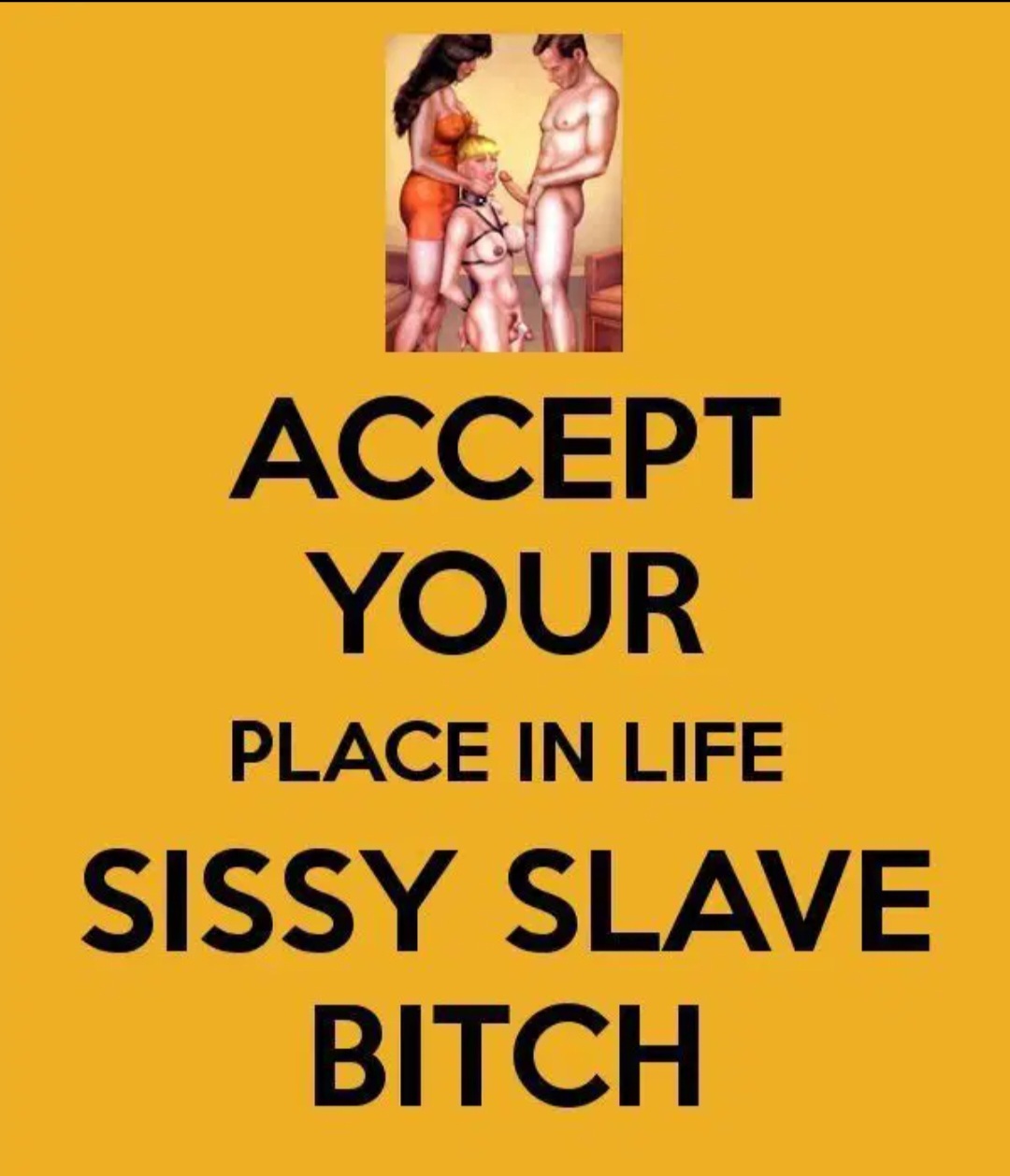 Funny Pictures &amp; Signs — 30