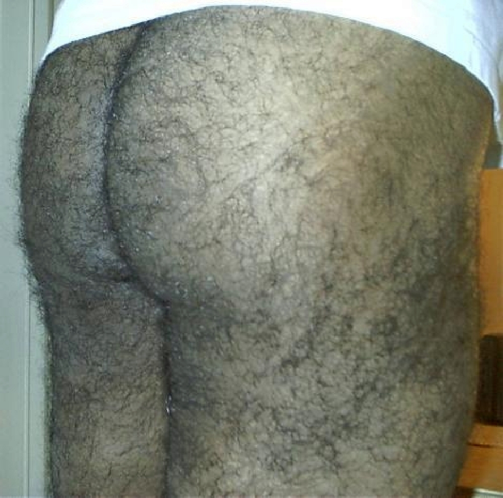 bears and very hairy men — 34