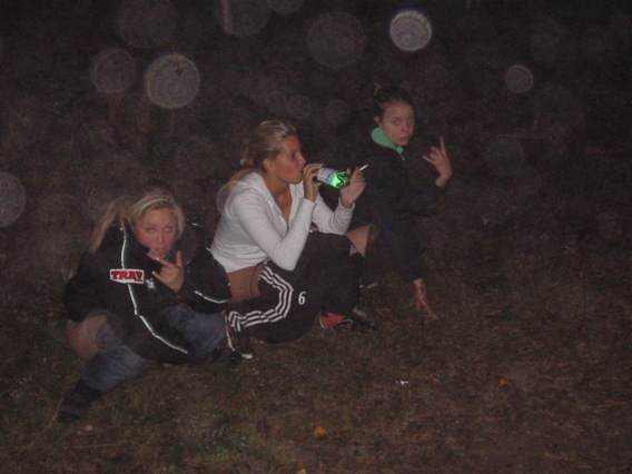 Swedish party babes VII — 43