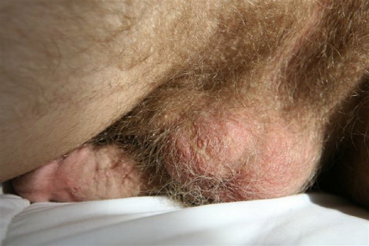 bears and very hairy men — 18