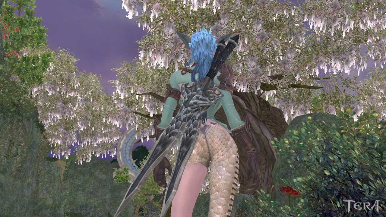 lets show some skimpy outfits in Tera (Hot) — 12